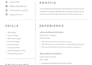 design a professional resume, CV
